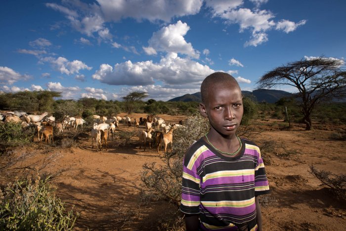 Lchekutis, Maasai Child Shepherds